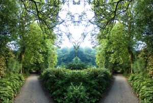 opposite-paths-1