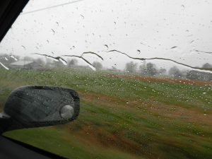 dscn3510