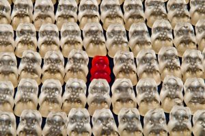 stand-out